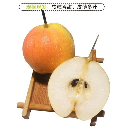 鞍山特產(chǎn)南國梨 細(xì)皮多汁，五斤包郵，新鮮直達(dá)